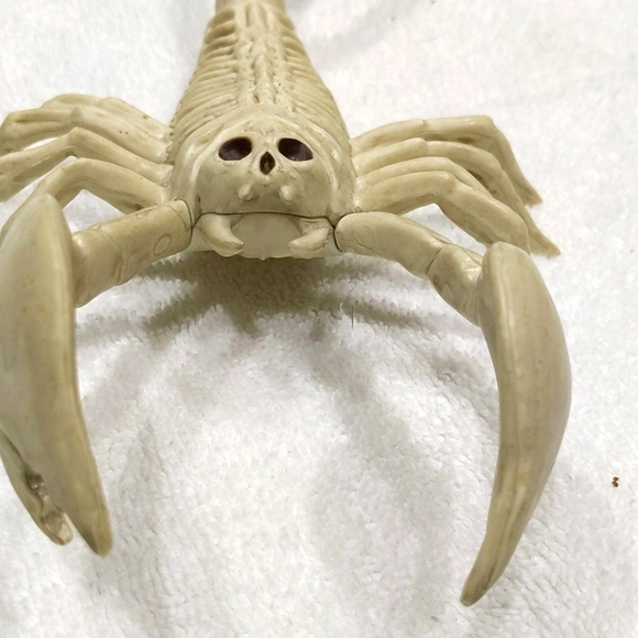 Set of plastic scorpion and bat skeletons. Creepy but awesome! Halloween 🎃 - Picture 3 of 6